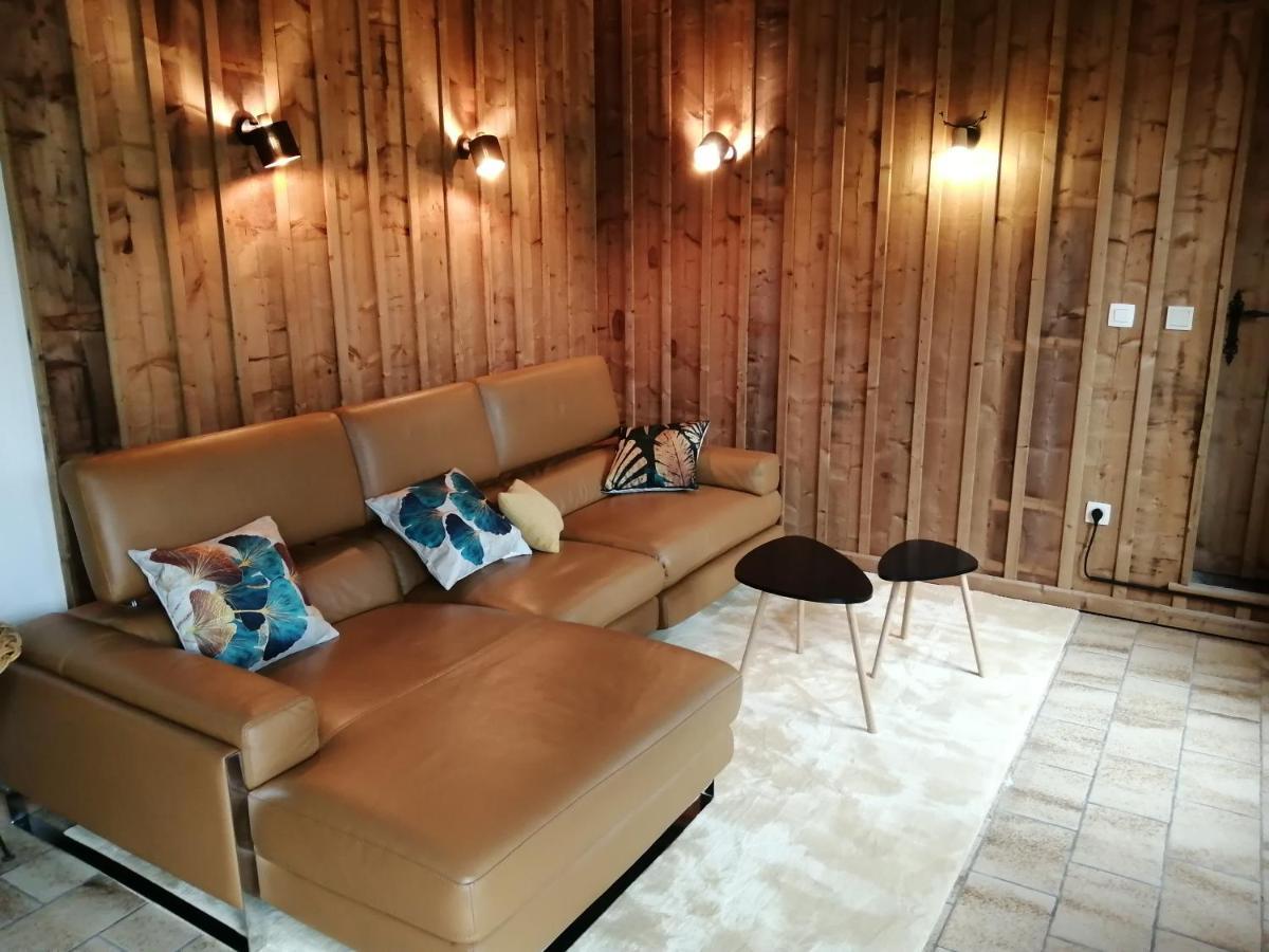 La Ou Je T 'Amenerai Villa Gedinne Екстериор снимка